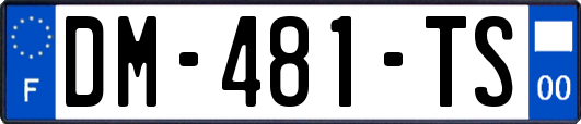 DM-481-TS