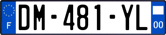 DM-481-YL