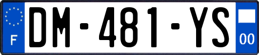 DM-481-YS