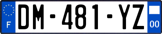 DM-481-YZ