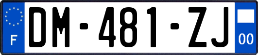 DM-481-ZJ