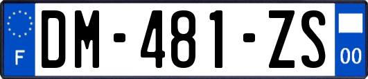 DM-481-ZS