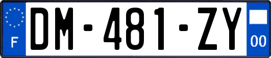 DM-481-ZY