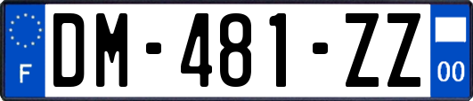 DM-481-ZZ