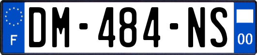 DM-484-NS