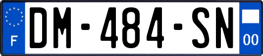 DM-484-SN