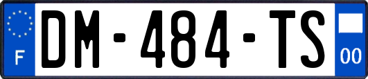 DM-484-TS