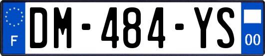 DM-484-YS