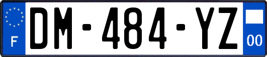 DM-484-YZ