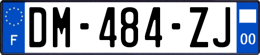 DM-484-ZJ