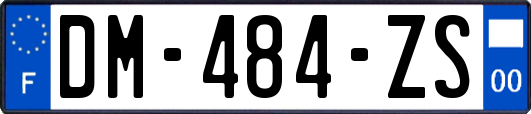 DM-484-ZS