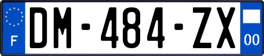 DM-484-ZX