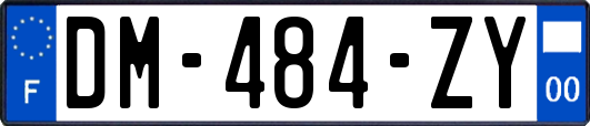 DM-484-ZY