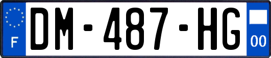 DM-487-HG