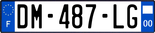 DM-487-LG