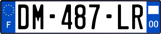 DM-487-LR