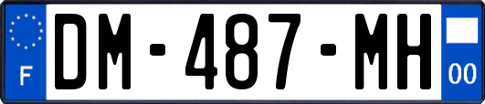 DM-487-MH