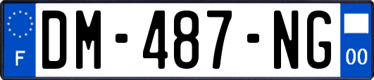 DM-487-NG