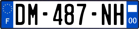 DM-487-NH