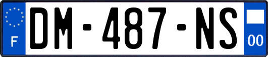 DM-487-NS