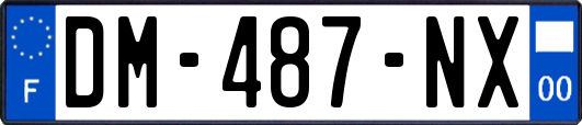 DM-487-NX