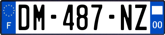 DM-487-NZ