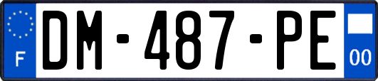 DM-487-PE