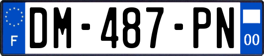 DM-487-PN
