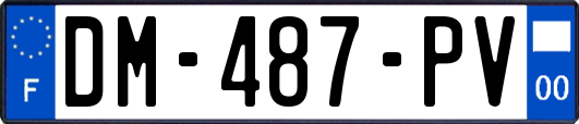 DM-487-PV