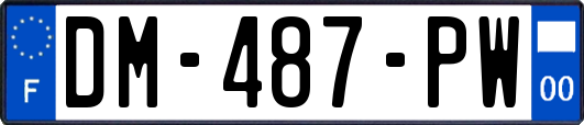 DM-487-PW