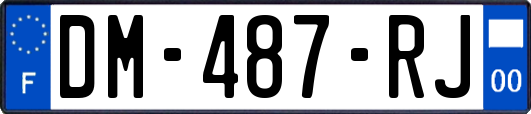 DM-487-RJ