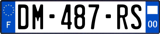 DM-487-RS