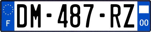 DM-487-RZ