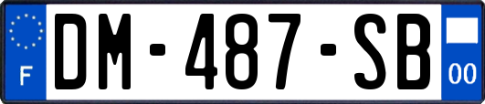 DM-487-SB