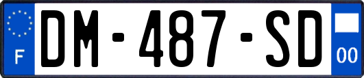DM-487-SD