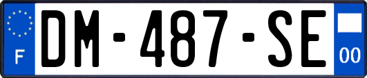 DM-487-SE