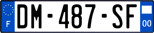 DM-487-SF