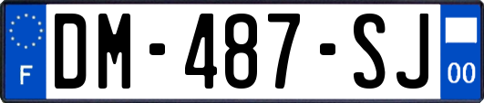 DM-487-SJ