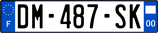 DM-487-SK