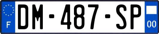 DM-487-SP