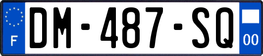 DM-487-SQ