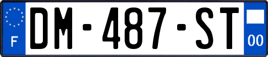 DM-487-ST