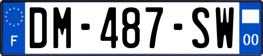 DM-487-SW