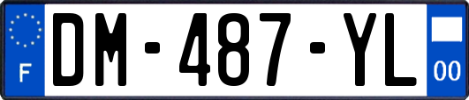 DM-487-YL