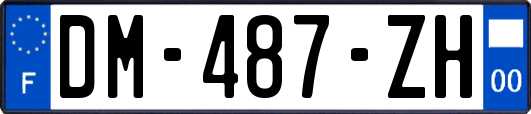 DM-487-ZH