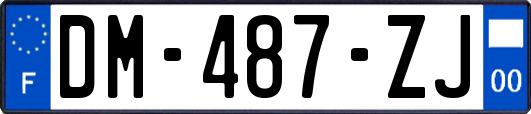 DM-487-ZJ