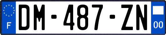 DM-487-ZN