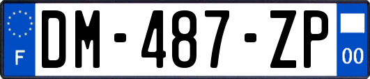 DM-487-ZP