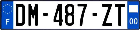 DM-487-ZT