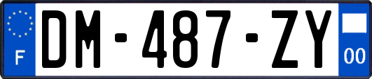 DM-487-ZY